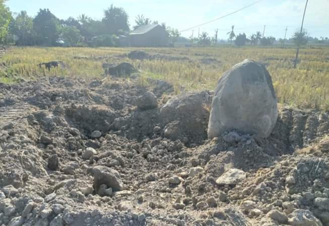 foto sawah petani 